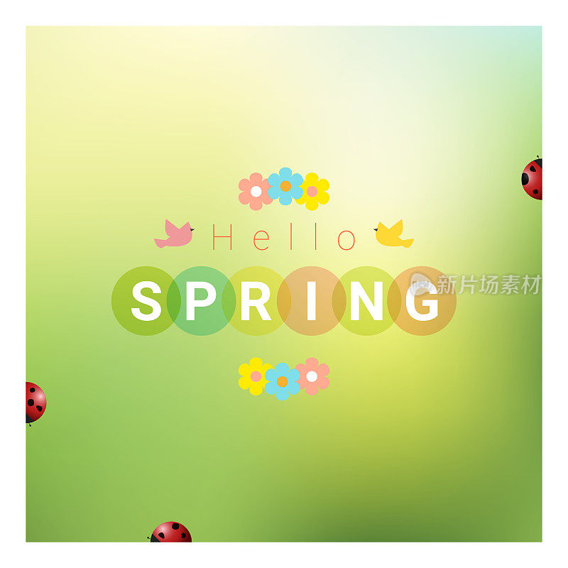 Hello Spring背景彩色瓢虫，矢量，插图